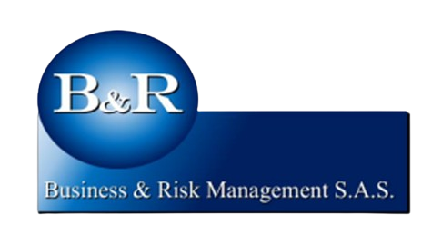 Logo Business & Risk